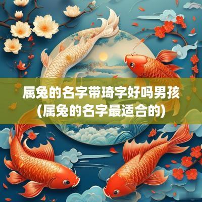 属兔的名字带琦字好吗男孩(属兔的名字最适合的)