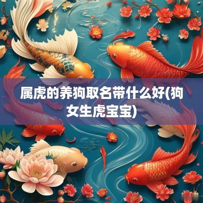属虎的养狗取名带什么好(狗女生虎宝宝)