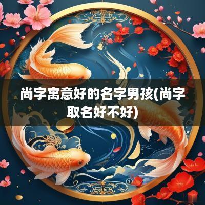 尚字寓意好的名字男孩(尚字取名好不好)