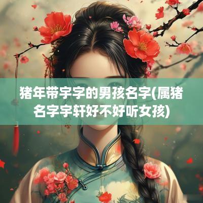 猪年带宇字的男孩名字(属猪名字宇轩好不好听女孩)