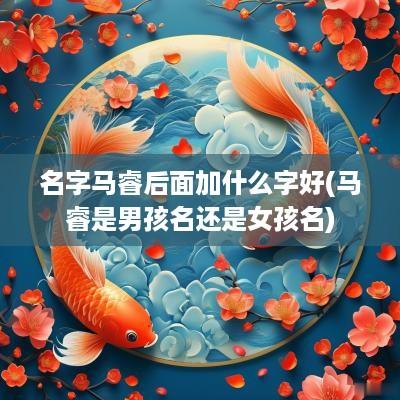 名字马睿后面加什么字好(马睿是男孩名还是女孩名)