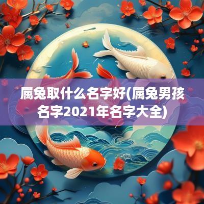 属兔取什么名字好(属兔男孩名字2025年名字大全)