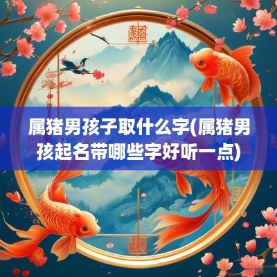 属猪男孩子取什么字(属猪男孩起名带哪些字好听一点)
