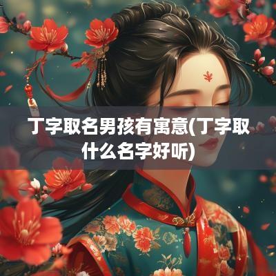 丁字取名男孩有寓意(丁字取什么名字好听)
