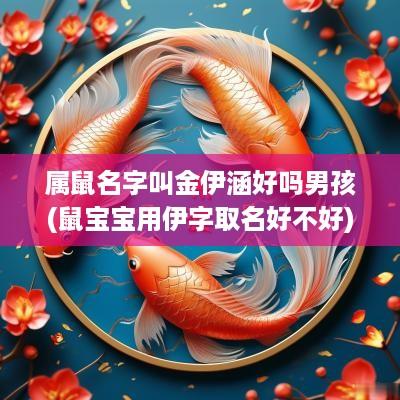 属鼠名字叫金伊涵好吗男孩(鼠宝宝用伊字取名好不好)
