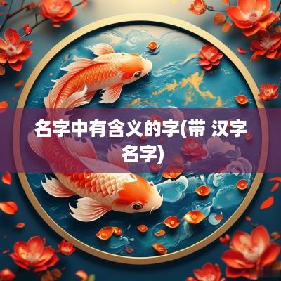 名字中有含义的字(带 汉字 名字)