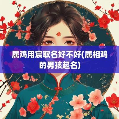 属鸡用宸取名好不好(属相鸡的男孩起名)