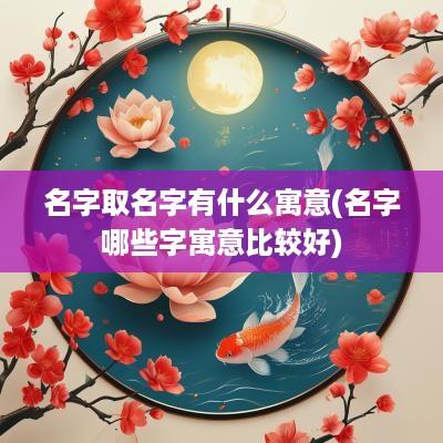 名字取名字有什么寓意(名字哪些字寓意比较好)