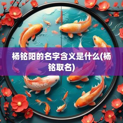 杨铭阳的名字含义是什么(杨铭取名)