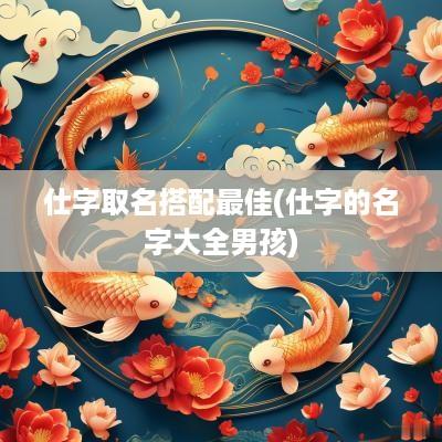 仕字取名搭配最佳(仕字的名字大全男孩)