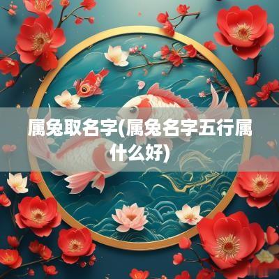 属兔取名字(属兔名字五行属什么好)