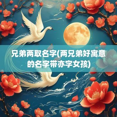 兄弟两取名字(两兄弟好寓意的名字带亦字女孩)