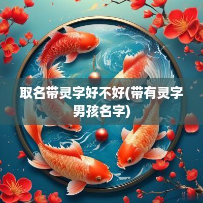 取名带灵字好不好(带有灵字男孩名字)