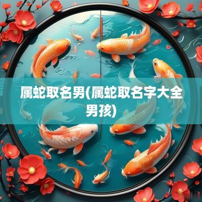 属蛇取名男(属蛇取名字大全男孩)