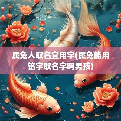 属兔人取名宜用字(属兔能用铭字取名字吗男孩)