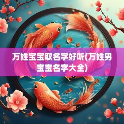 万姓宝宝取名字好听(万姓男宝宝名字大全)