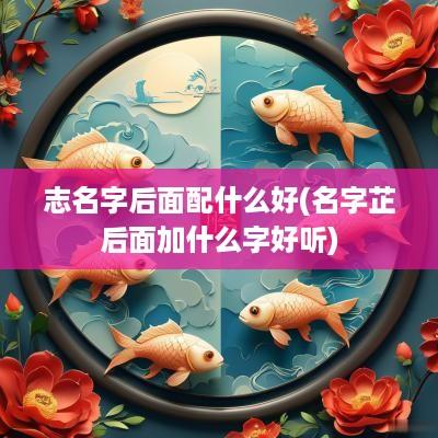 志名字后面配什么好(名字芷后面加什么字好听)