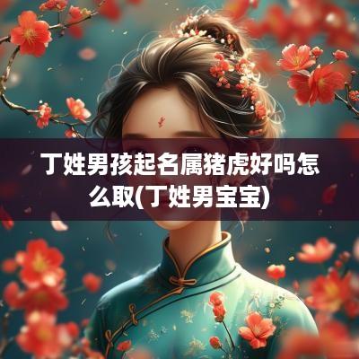 丁姓男孩起名属猪虎好吗怎么取(丁姓男宝宝)
