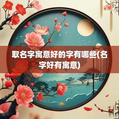 取名字寓意好的字有哪些(名字好有寓意)