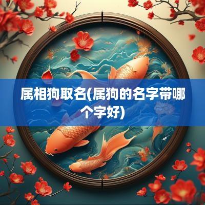 属相狗取名(属狗的名字带哪个字好)