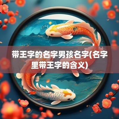 带王字的名字男孩名字(名字里带王字的含义)