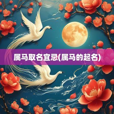 属马取名宜忌(属马的起名)