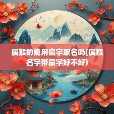属猴的能用宸字取名吗(属猴名字带辰字好不好)
