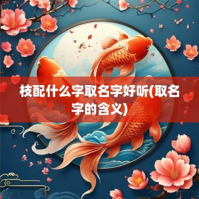 枝配什么字取名字好听(取名字的含义)