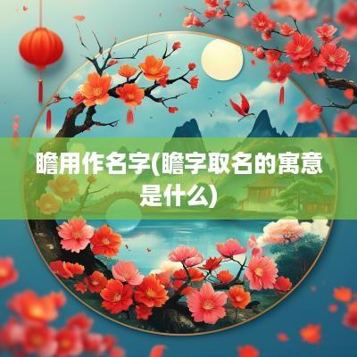 瞻用作名字(瞻字取名的寓意是什么)