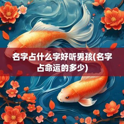 名字占什么字好听男孩(名字占命运的多少)