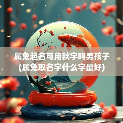 属兔起名可用秋字吗男孩子(属兔取名字什么字最好)