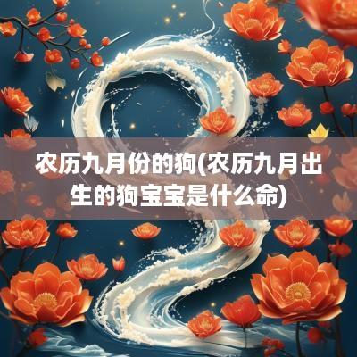 农历九月份的狗(农历九月出生的狗宝宝是什么命)