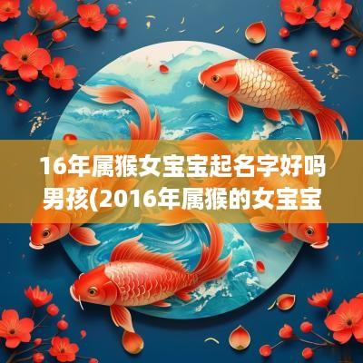 16年属猴女宝宝起名字好吗男孩(2016年属猴的女宝宝取名)