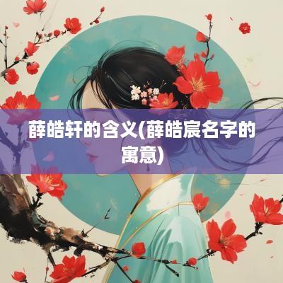 薛皓轩的含义(薛皓宸名字的寓意)