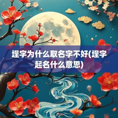 埕字为什么取名字不好(埕字起名什么意思)