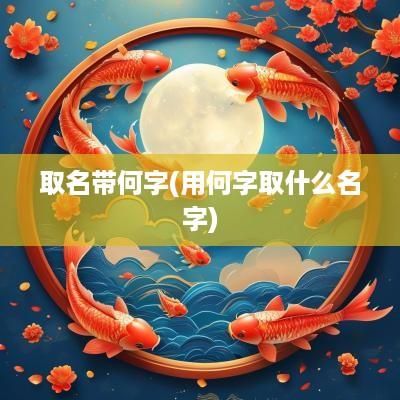 取名带何字(用何字取什么名字)