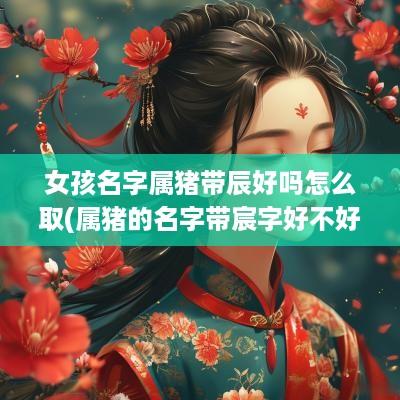 女孩名字属猪带辰好吗怎么取(属猪的名字带宸字好不好)