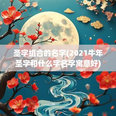 圣字组合的名字(2025蛇年圣字和什么字名字寓意好)