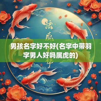 男孩名字好不好(名字中带羽字男人好吗属虎的)