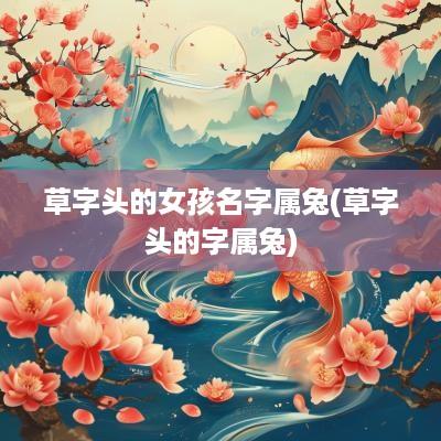 草字头的女孩名字属兔(草字头的字属兔)