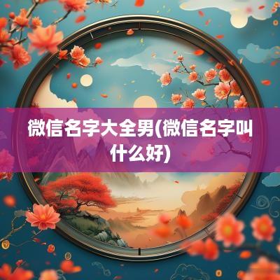 微信名字大全男(微信名字叫什么好)