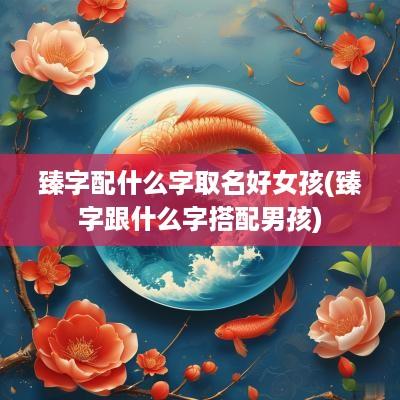 臻字配什么字取名好女孩(臻字跟什么字搭配男孩)