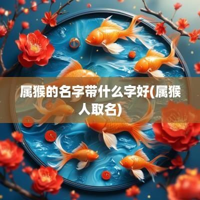 属猴的名字带什么字好(属猴人取名)
