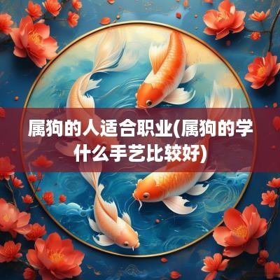 属狗的人适合职业(属狗的学什么手艺比较好)