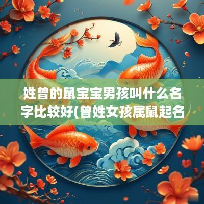 姓曾的鼠宝宝男孩叫什么名字比较好(曾姓女孩属鼠起名好吗视频)