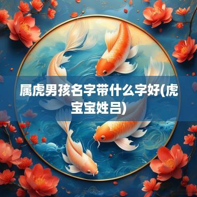 属虎男孩名字带什么字好(虎宝宝姓吕)
