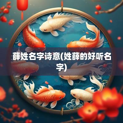薛姓名字诗意(姓薛的好听名字)