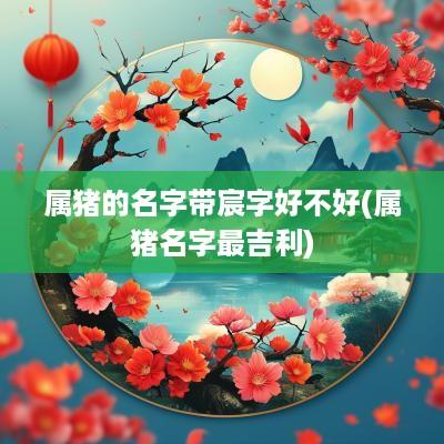属猪的名字带宸字好不好(属猪名字最吉利)