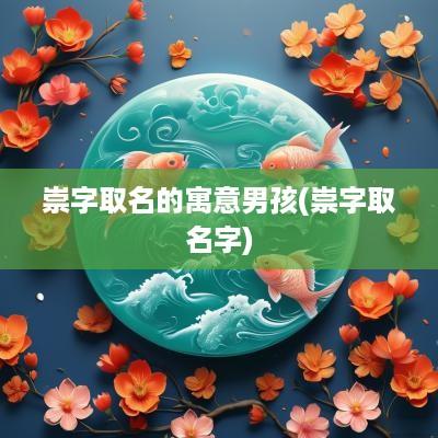 崇字取名的寓意男孩(崇字取名字)