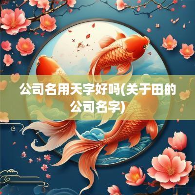 公司名用天字好吗(关于田的公司名字)